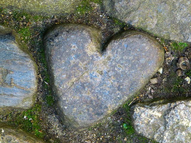 heart-510100_640.jpg